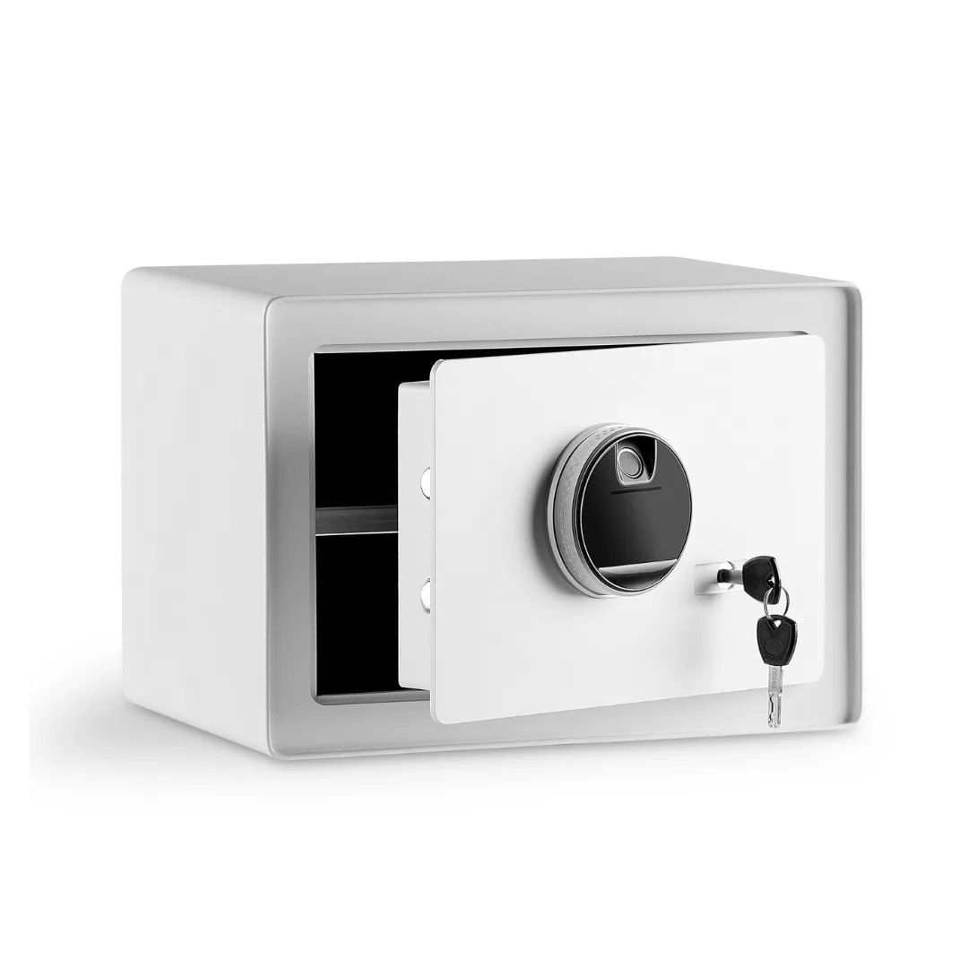 Caja de Seguridad Biometrica vista 2